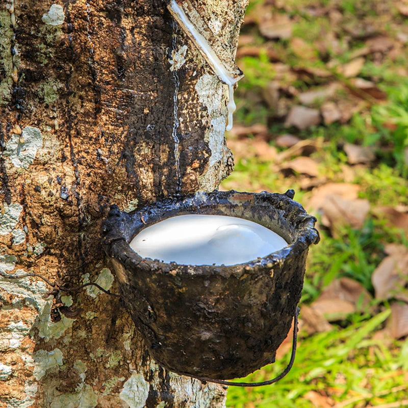 Outdoor Sports 6pcs 0.55-1.2 mm Rubber Band Powerful Hunting Accessories Flat Elastic Band For Slingshot Catapult Rubber Bands