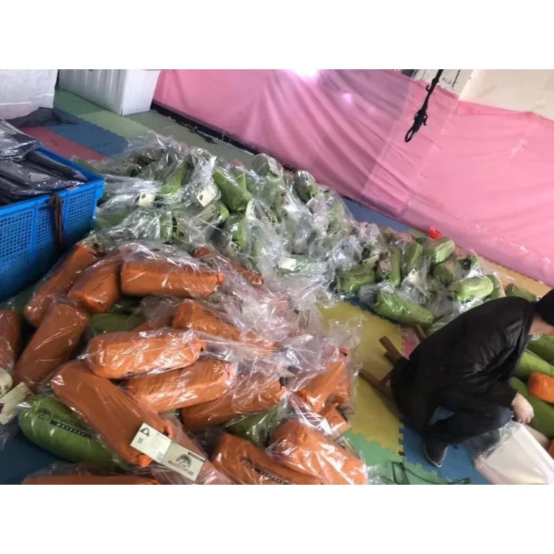 Nemo Hornet Self-standing Ultralight 2 Man Tent 20D Nylon Silicon Coated Backpacking Tent with 2 Door,20D Silicon Tent