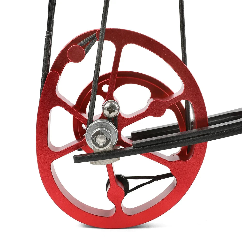 35 Lbs Compound Bow Dual Purpose 6061 Aluminium Wheels Grip Let Off 80% Shooting Arrows Steel Archery Hunting Target Bow