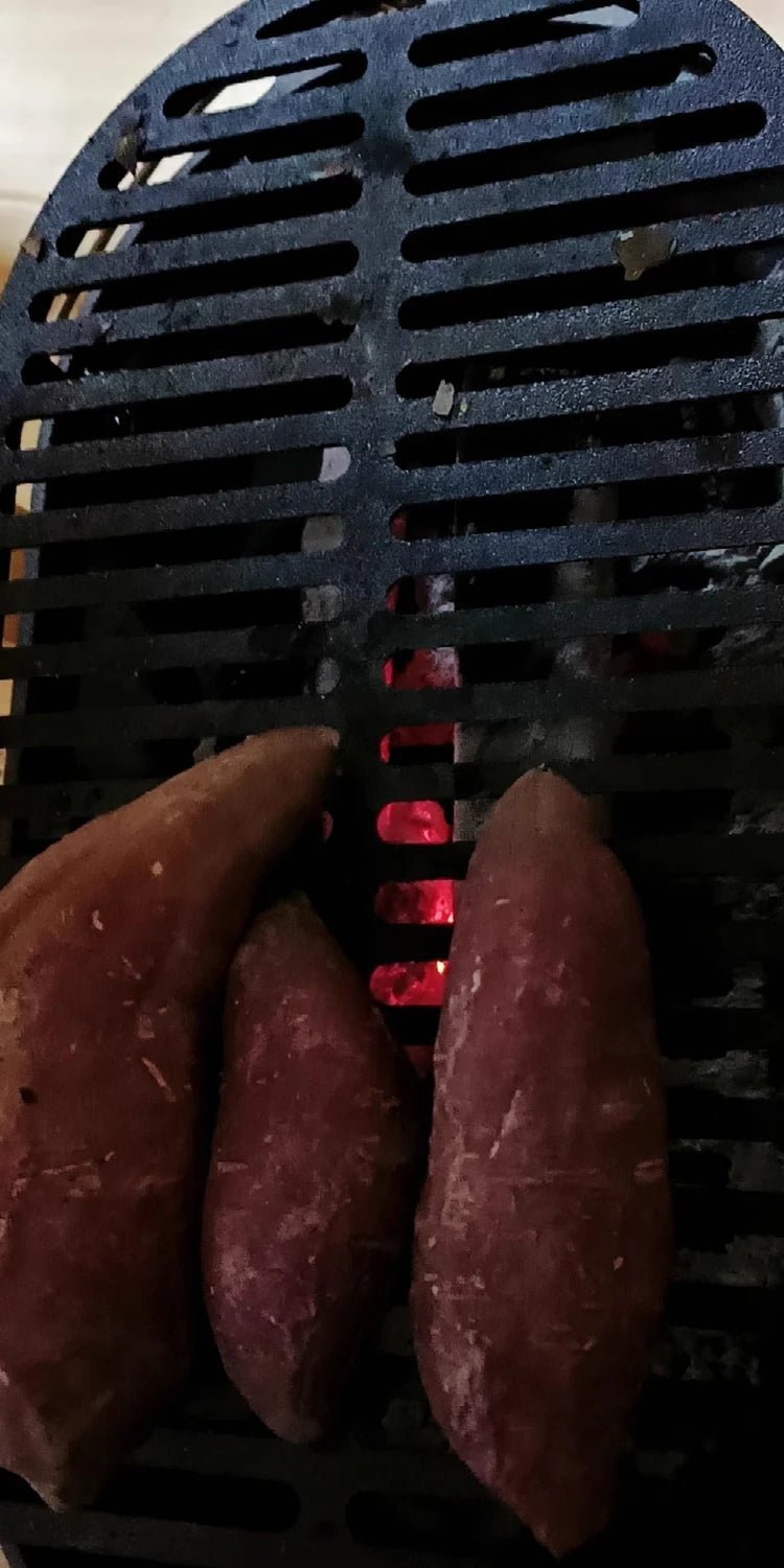 Outdoor Portable Cast Iron Charcoal Grill, Barbecue Stove