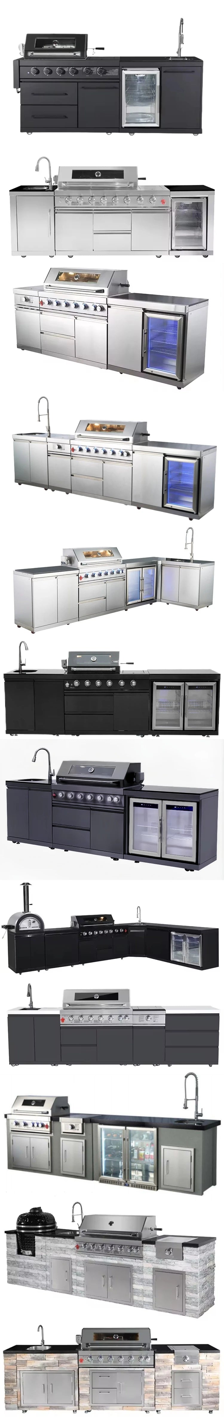 Outdoor Gas Black Stainless-Steel Build in BBQ Grills Plate Natural Gas Cooker With Oven and Grill Camping Barbeque Gas Grill