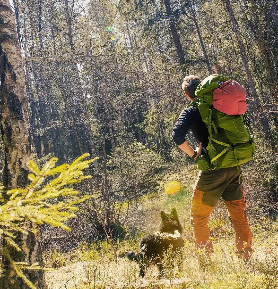 Bird Watching Tent One-way 270 ° Transparent Visible Hunting Tentage Camouflage Quick Opening Waterproof Outdoor Camping Lodge