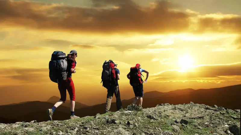 600D Polyester Hiking Bag Travel Backpack Men's And Women's Rucksack Large Capacity Trekking Luggage Package Emergency Knapsack