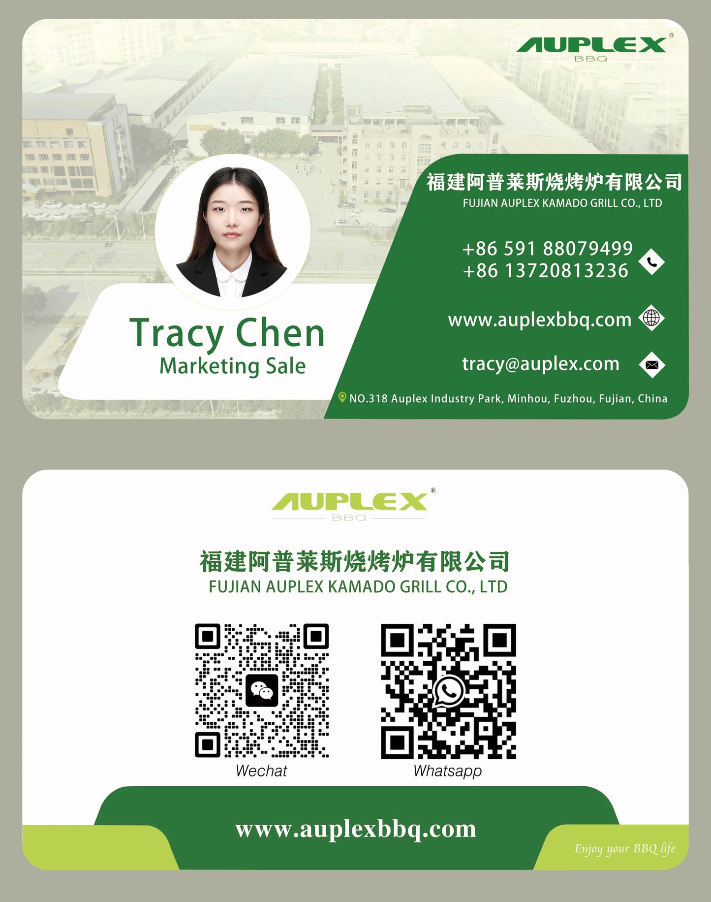 Auplex Manufacturer Hot Sale 21 Inch Kamado Outdoor BBQ Kitchen Camping Charcoal BBQ Grill