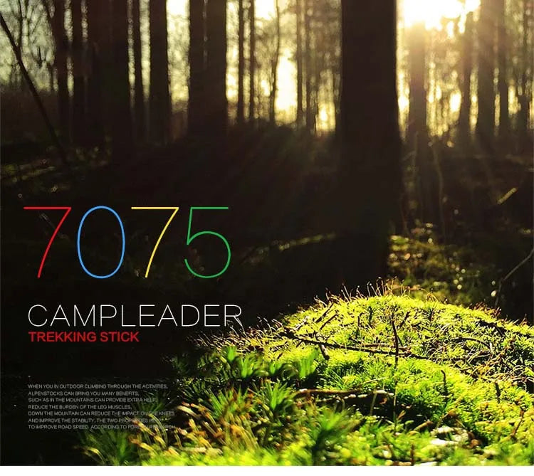 Trekking Poles for Hiking Walking Sticks for Seniors Collapsible and Lightweight, 2pc Set - Hiking Poles for Backpacking Camping