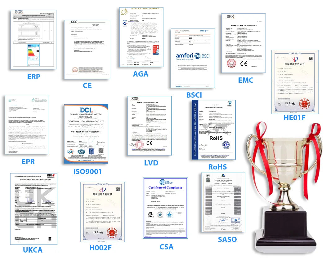 Luxurious Large Rotisserie Stainless Steel Gas and Charcoal BBQ Grill 60KG Outdoor Wholesale Barbecue Grill