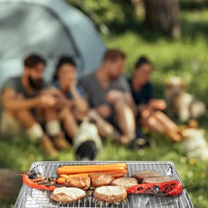 Outdoor Folding Stainless Steel Grill Barbecue Rack Detachable Charcoal Stove BBQ Grill Lightweight Brazier Foldable Hibachi