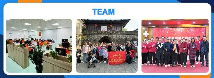 Luxurious Large Rotisserie Stainless Steel Gas and Charcoal BBQ Grill 60KG Outdoor Wholesale Barbecue Grill