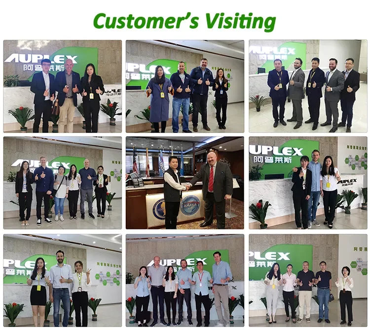 Auplex Manufacturer Hot Sale 21 Inch Kamado Outdoor BBQ Kitchen Camping Charcoal BBQ Grill