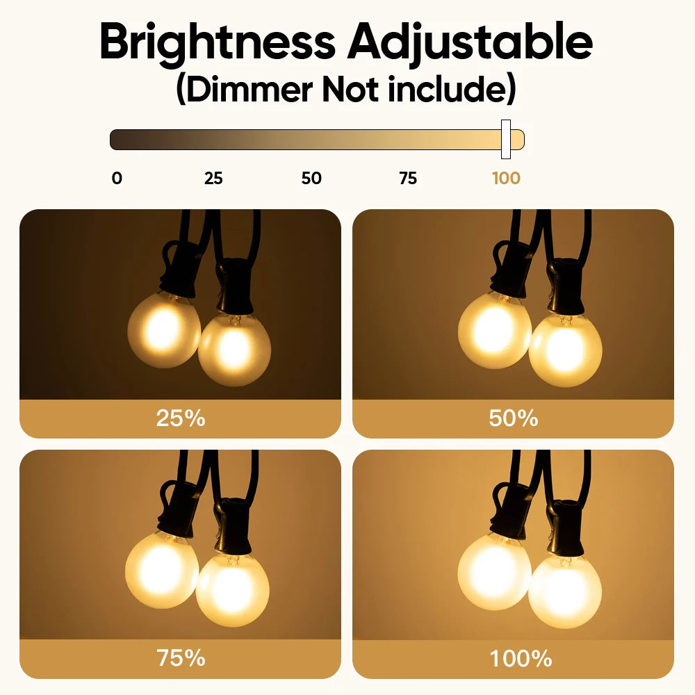 Waterproof G40 Led Lights Decoration EU 220V US 110V String Light Warm White Frosted White Wedding Party Garden Lights Outdoor